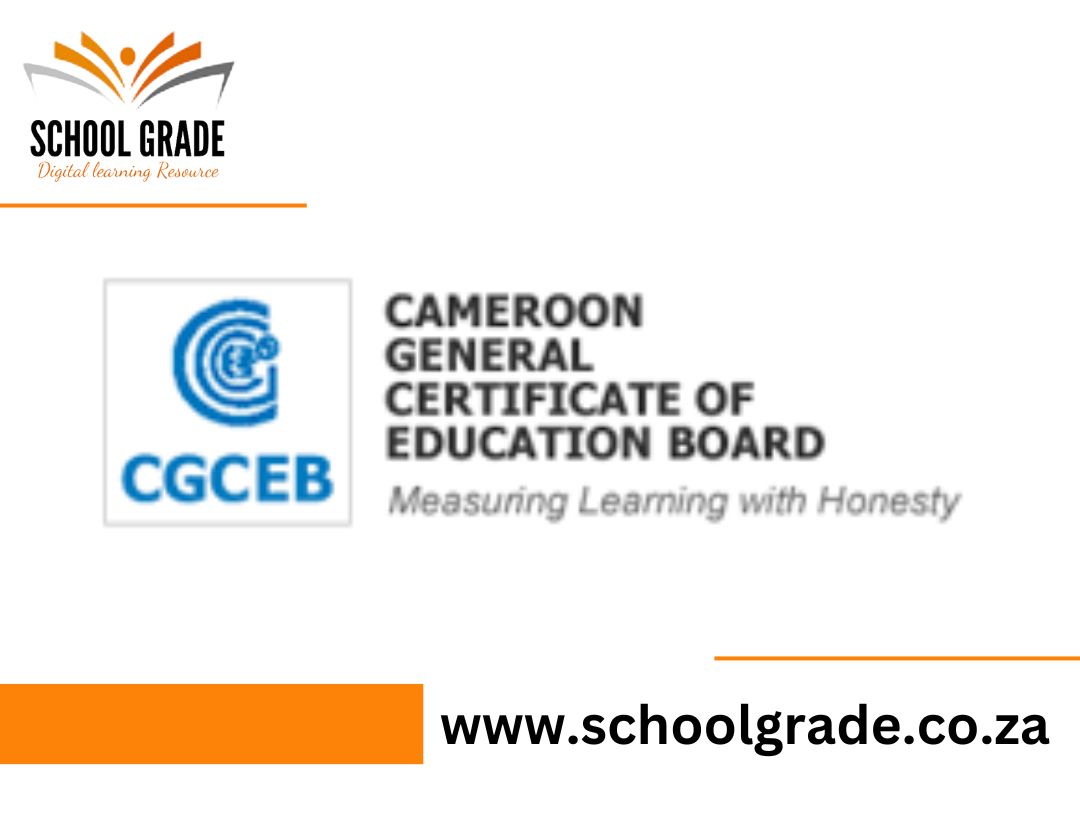 Cameroon GCE Results 2025 Check Online School Grade Blog